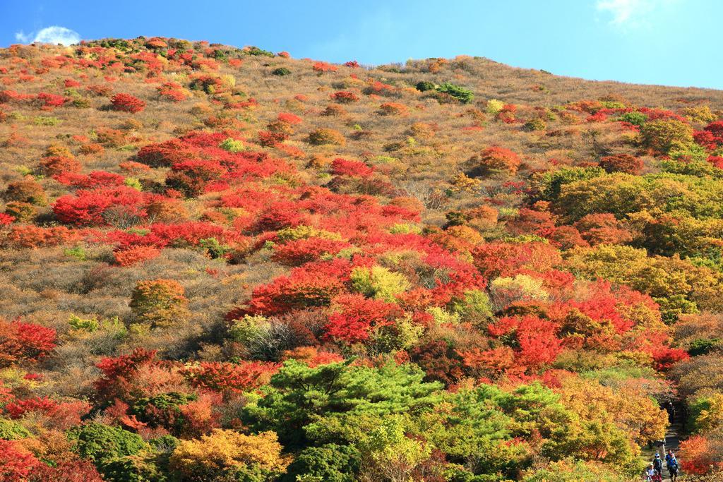 Spagreenness Kokonoe Dış mekan fotoğraf